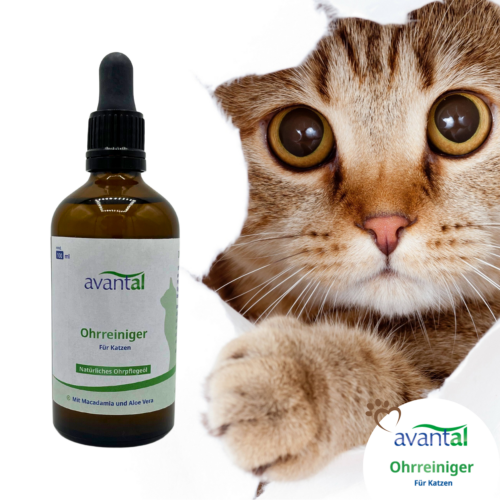 Ohrenpflege Öl für Katzen 100ml