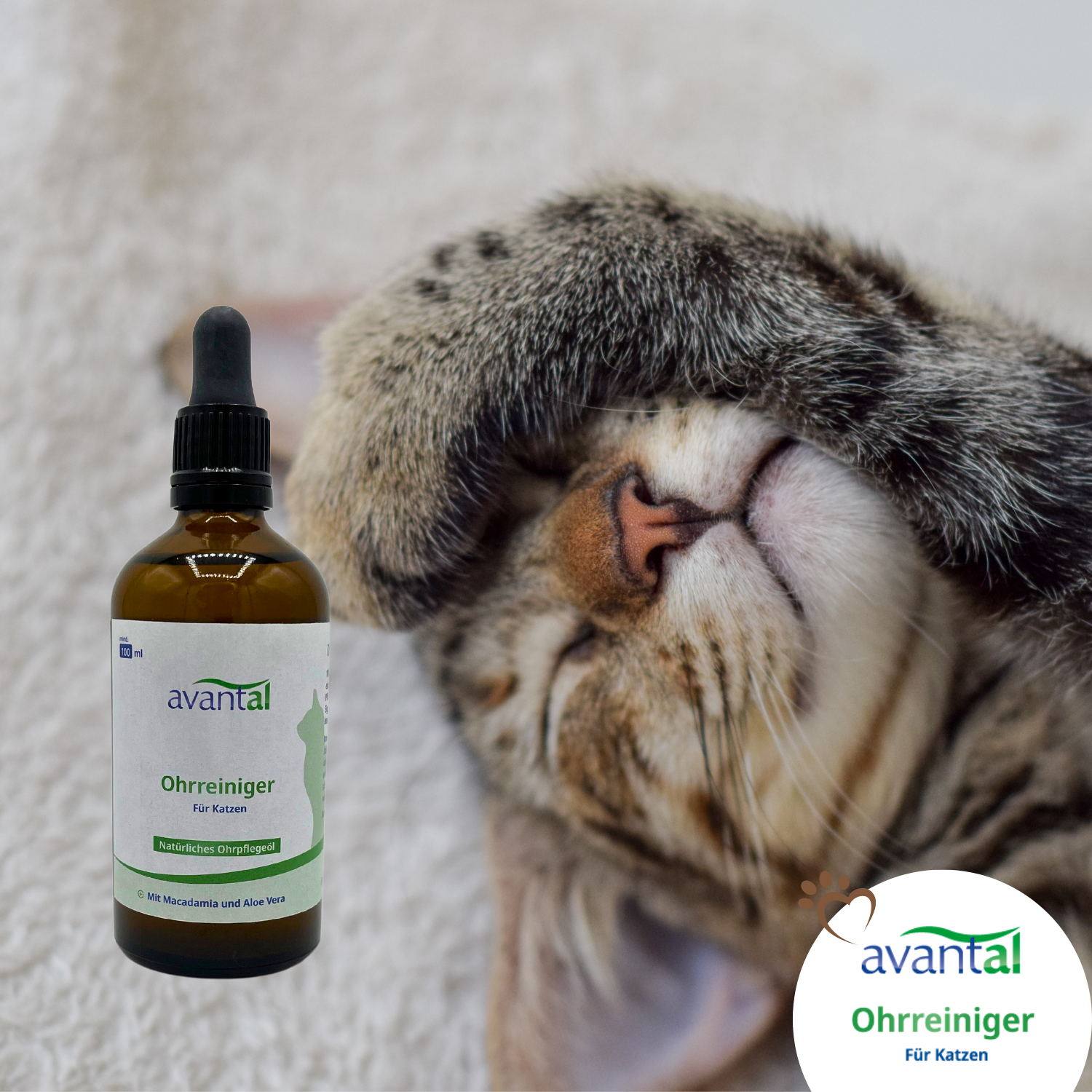 Ohrenpflege Öl für Katzen 100ml